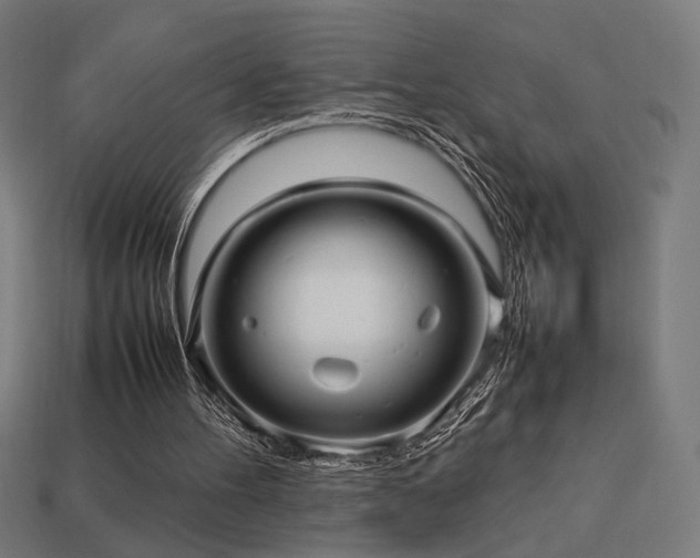 X0000113760100200909231213