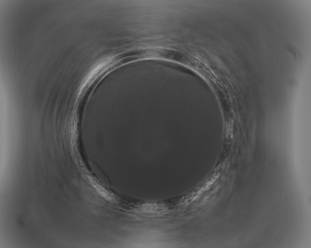 X0000113760101200909231213