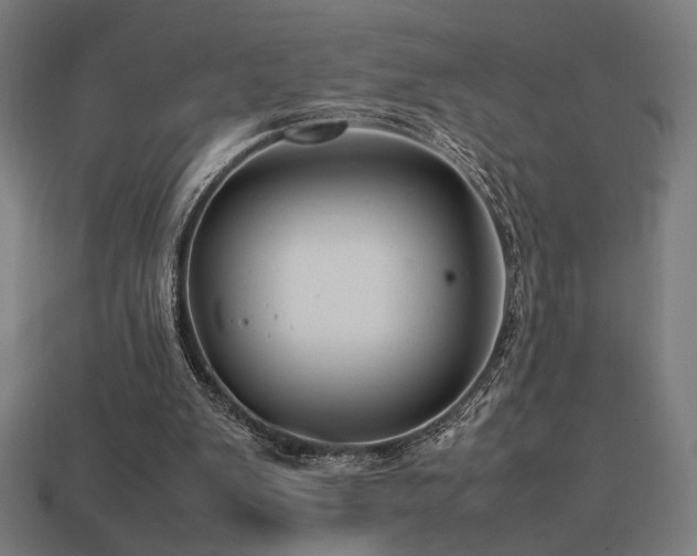 X0000113760103200909231213