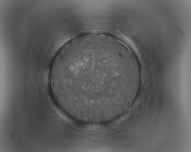 X0000113760105200909231213
