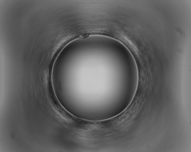 X0000113760107200909231213