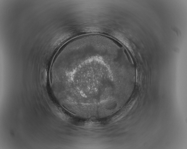 X0000113760109200909231213