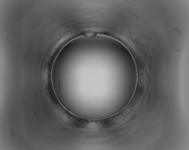 X0000113760111200909231213