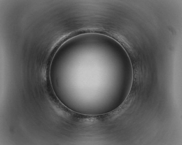 X0000113760112200909231213