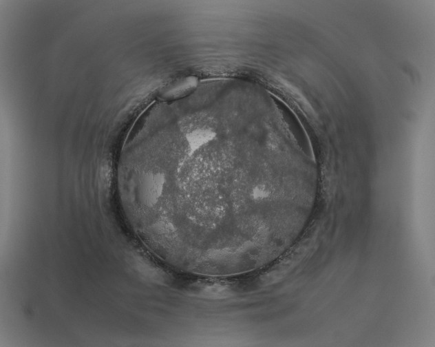 X0000113760113200909231213
