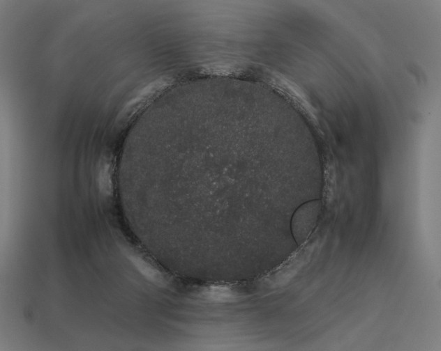 X0000113760114200909231213