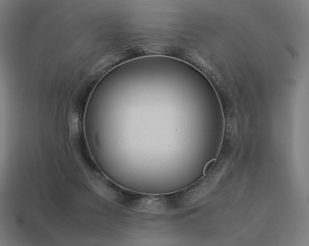X0000113760117200909231213