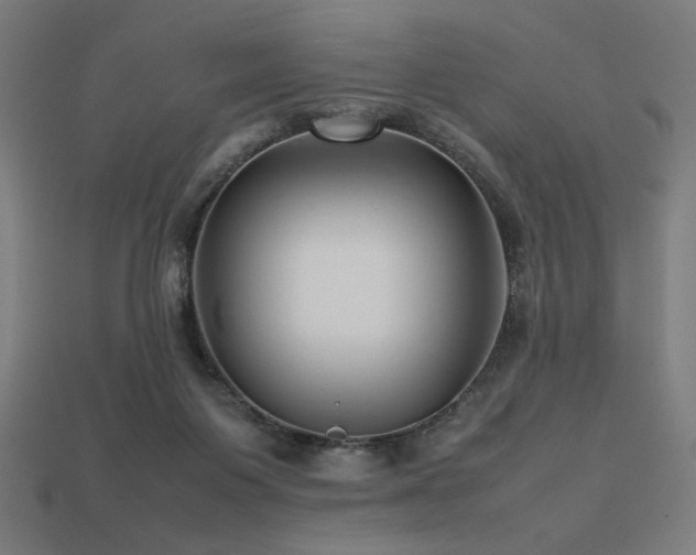 X0000113760119200909231213