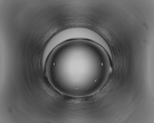 X0000113760120200909231213