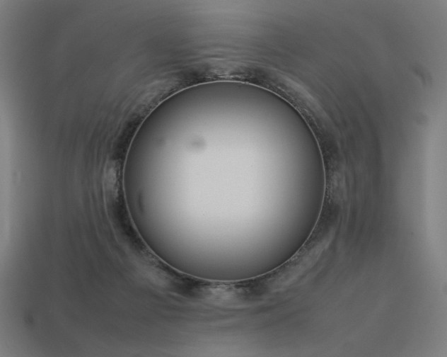X0000113760121200909231213