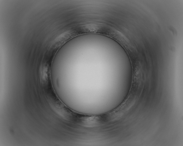 X0000113760122200909231213