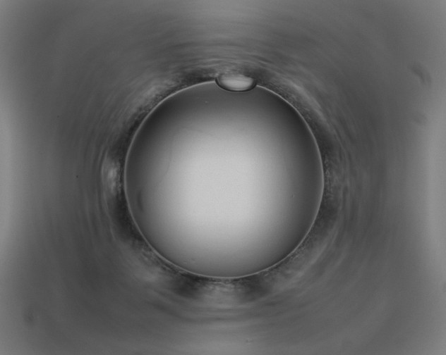 X0000113760123200909231213
