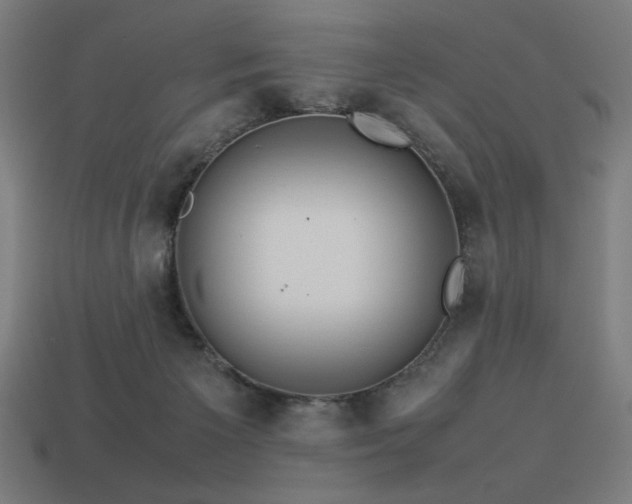 X0000113760125200909231213