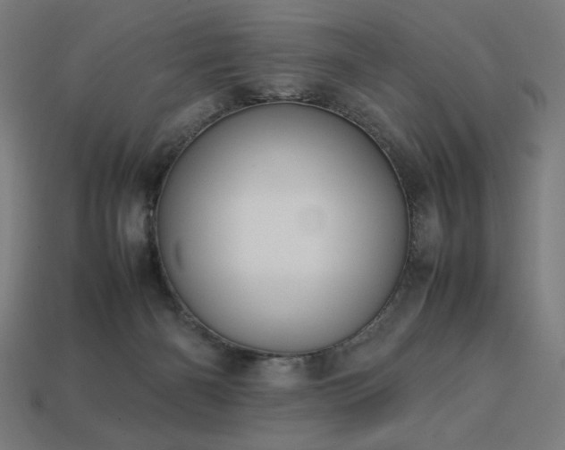 X0000113760126200909231213