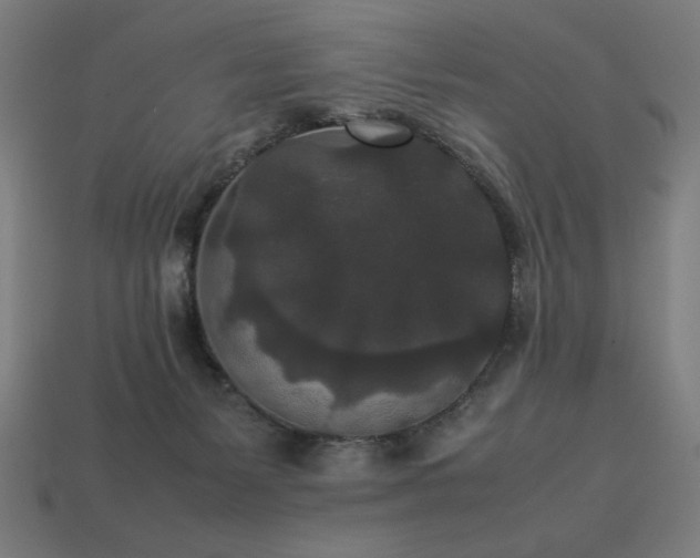 X0000113760127200909231213