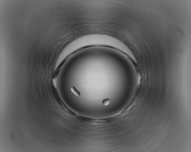 X0000113760128200909231213