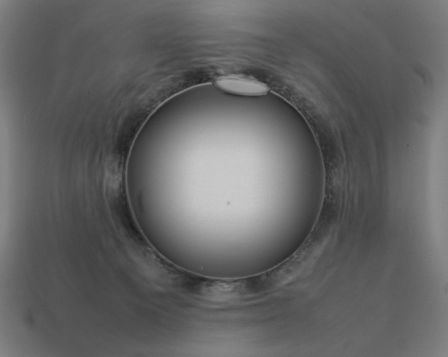 X0000113760129200909231213
