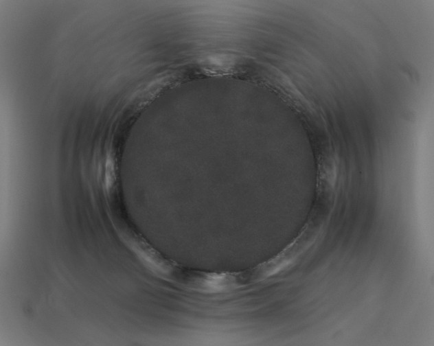 X0000113760130200909231213