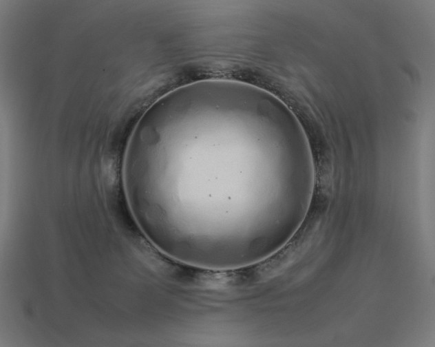 X0000113760131200909231213
