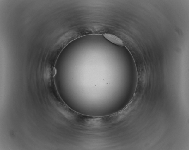 X0000113760132200909231213