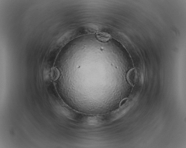 X0000113760134200909231213