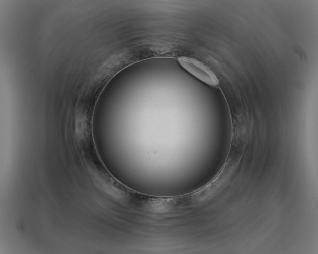 X0000113760136200909231213