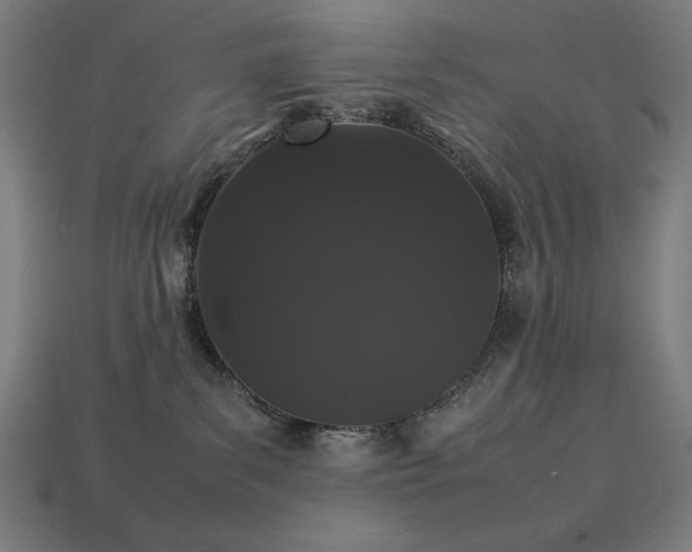 X0000113760139200909231213