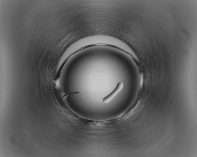 X0000113760140200909231213