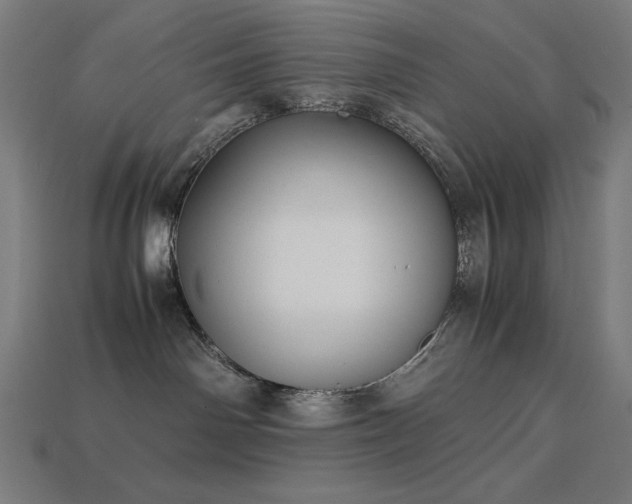 X0000113760142200909231213