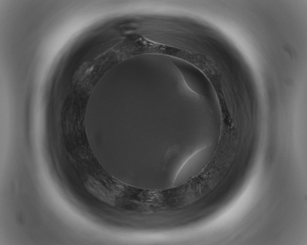 X0000113760143200909231213