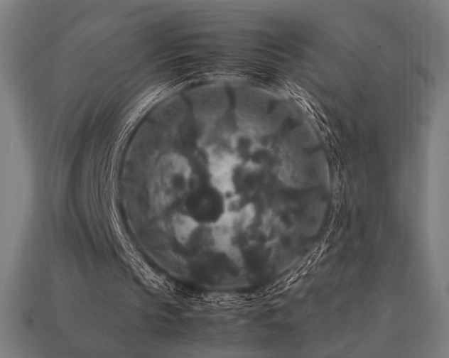 X0000113760145200909231212
