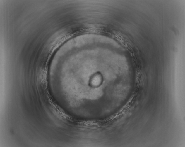 X0000113760146200909231212