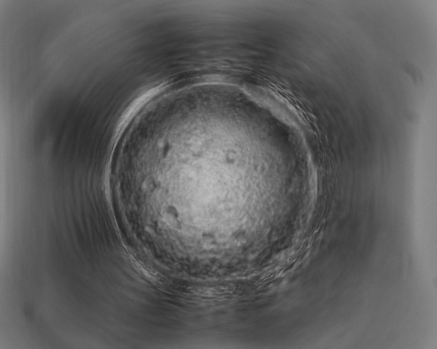 X0000113760147200909231212