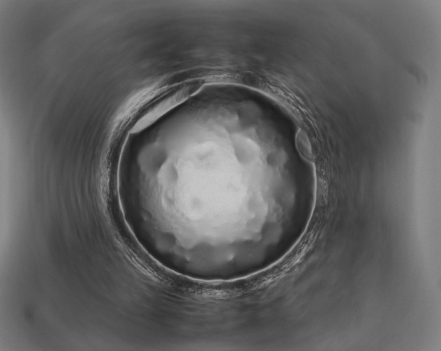 X0000113760149200909231212