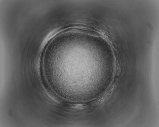X0000113760151200909231212