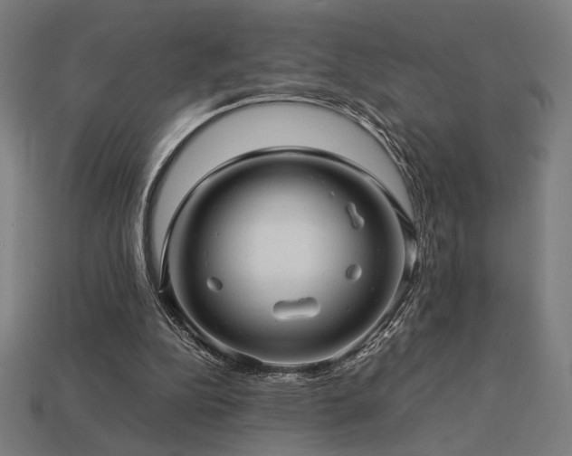 X0000113760152200909231212