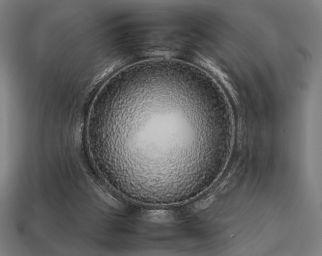 X0000113760153200909231212