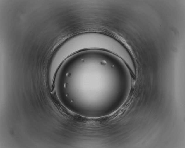X0000113760154200909231212