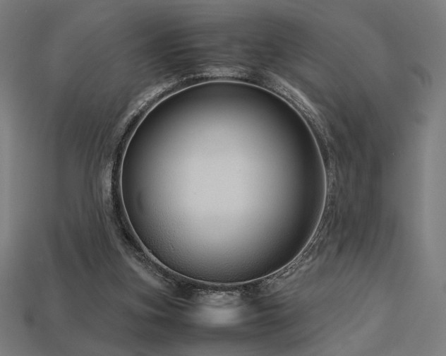 X0000113760155200909231212