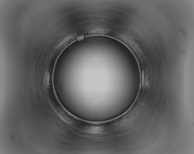 X0000113760157200909231212