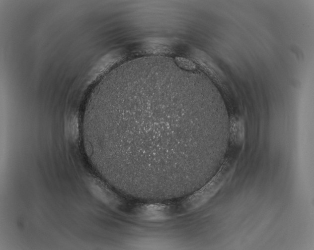 X0000113760158200909231212