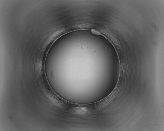 X0000113760159200909231212