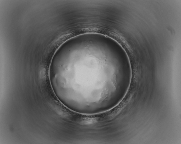 X0000113760161200909231212