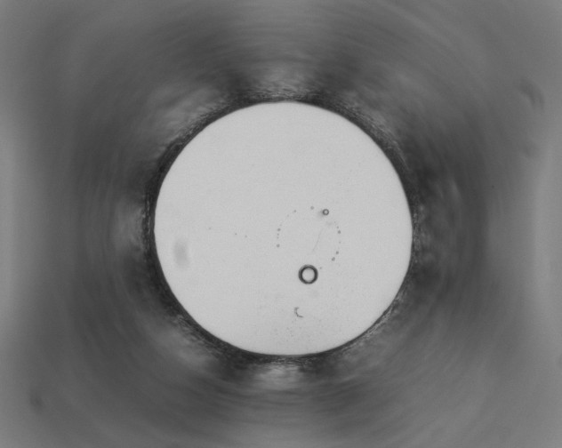 X0000113760162200909231212