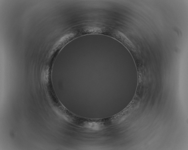 X0000113760163200909231212