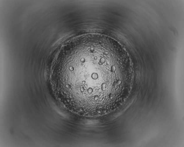 X0000113760165200909231212