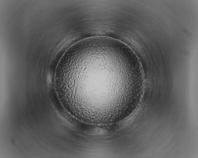 X0000113760166200909231212