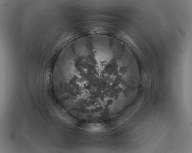 X0000113760169200909231212