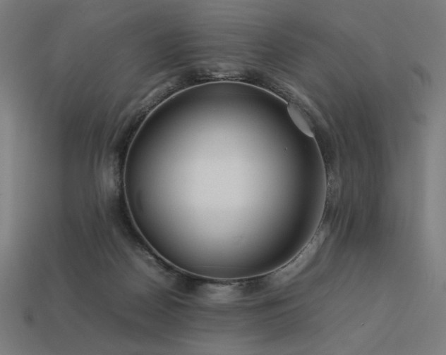 X0000113760170200909231212