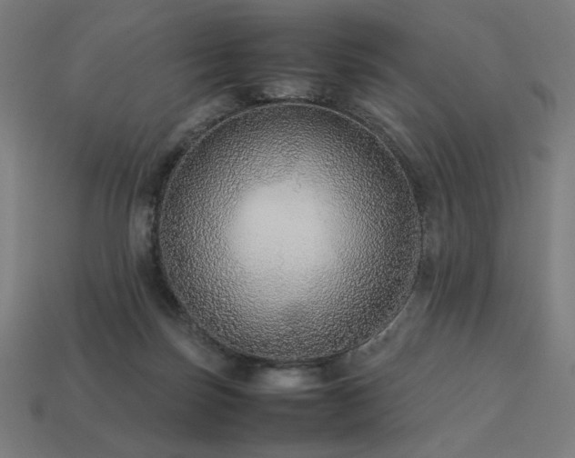X0000113760171200909231212